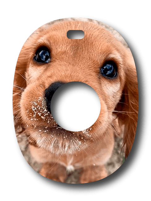 Single Patch / Eversense 365 Flynn - Eversense 365