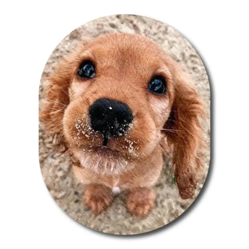 Single Patch / Guardian Flynn the Puppy - Guardian