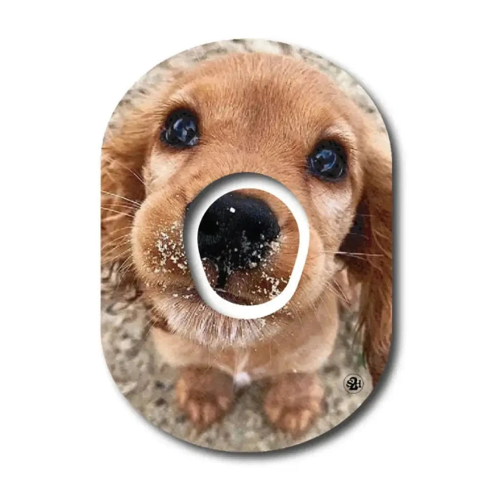 Single Patch / G7 Flynn the Puppy with Topper - Dexcom G7 and Stelo