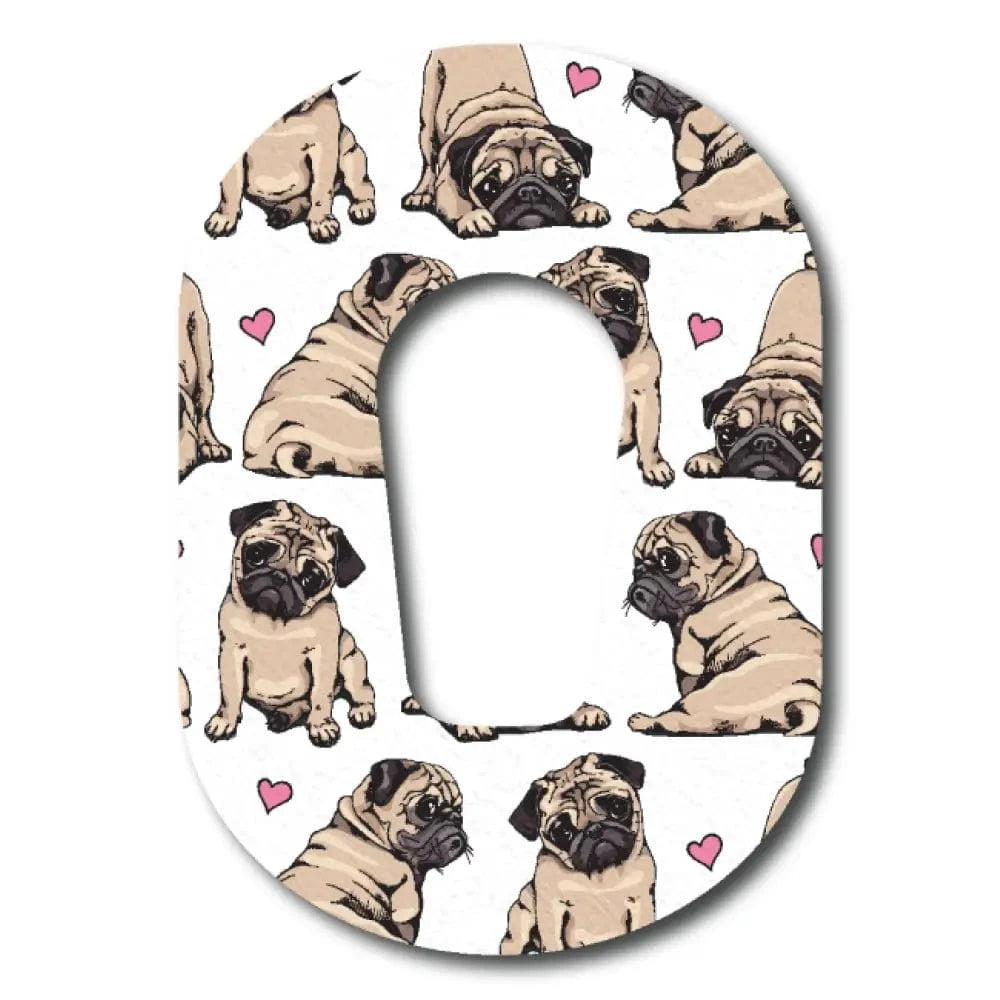 Single Patch / G6 Puggles - Dexcom G6