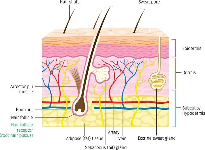 Stick to Skin Medical Wearables