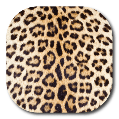 Leopard Skin - Dexcom G7 and Stelo Cover-up