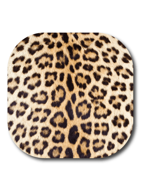 Leopard Skin - Dexcom G7 and Stelo Cover-up