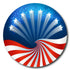 Single Patch / Libre 2 Cover-up American Celebration - Libre 2 and Lingo Cover-up