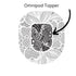 Single Topper / Omnipod Topper American Flag Baseball - Omnipod Topper