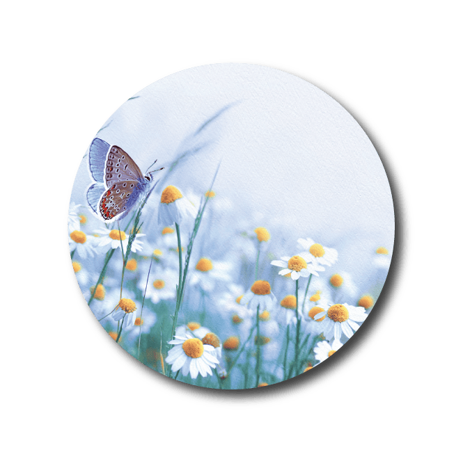 Single Patch / Medtronic Instinct Butterfly Morning - Medtronic Instinct