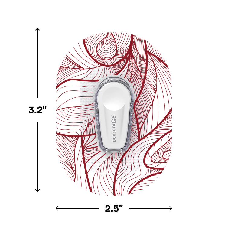 G6