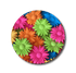 Single Patch / Medtronic Instinct Flower Works - Medtronic Instinct