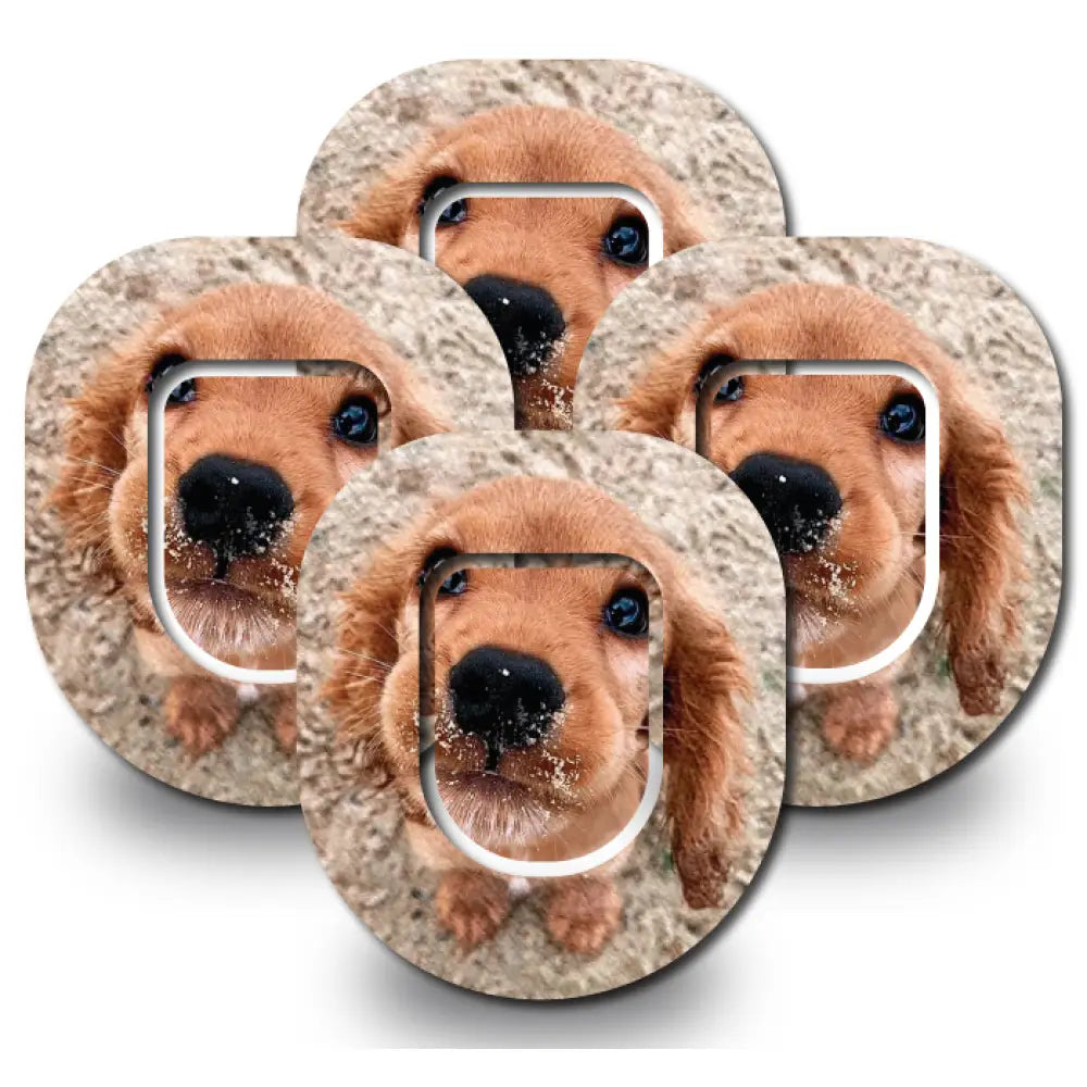 Flynn The Puppy With Topper - Omnipod 4 - Pack (Set of 4 Patches)