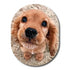 Single Patch / Guardian Flynn the Puppy - Guardian