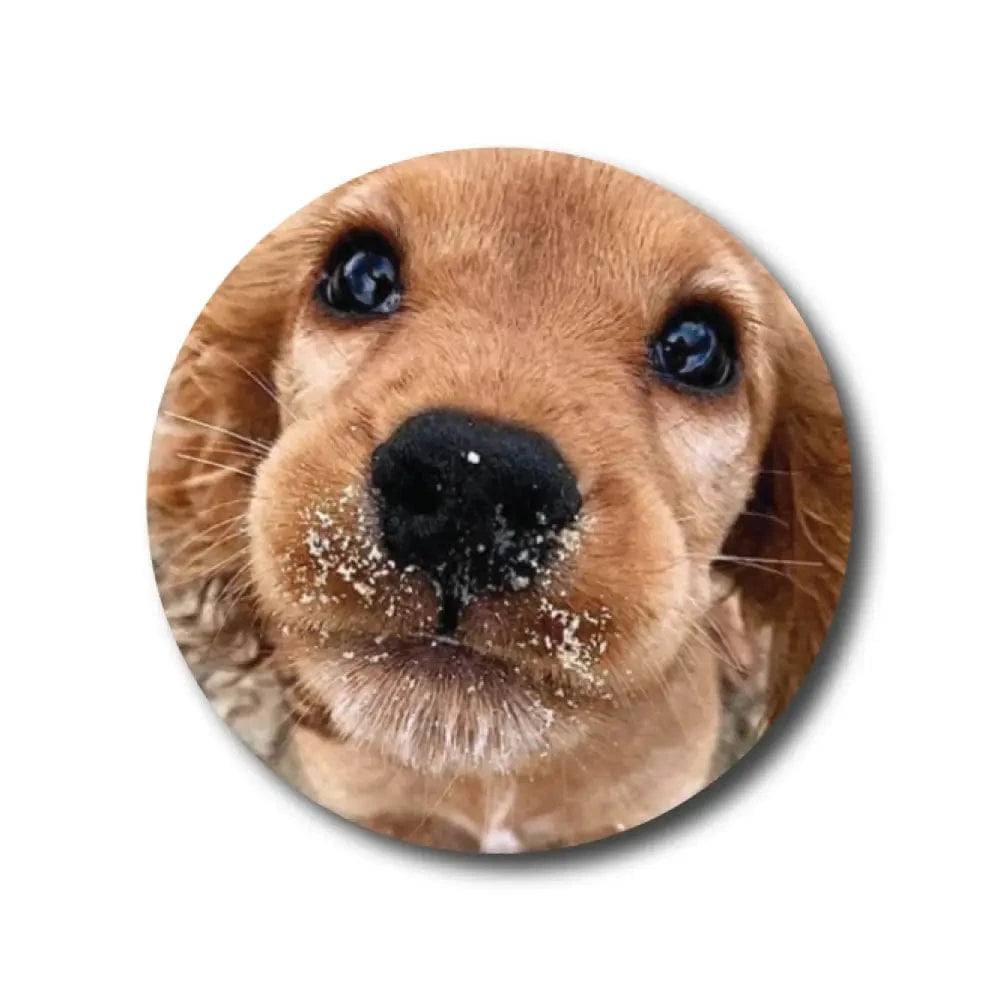 Single Patch / Libre 3 Flynn the Puppy - Libre 3