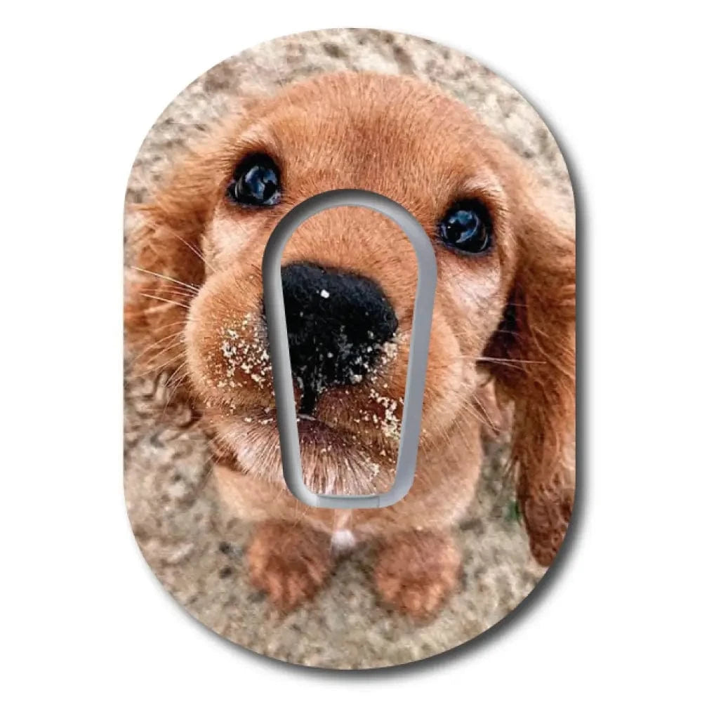 Single Patch / G6 Flynn the Puppy with Topper - Dexcom G6