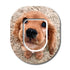 Single Patch / Omnipod Flynn the Puppy with Topper - Omnipod