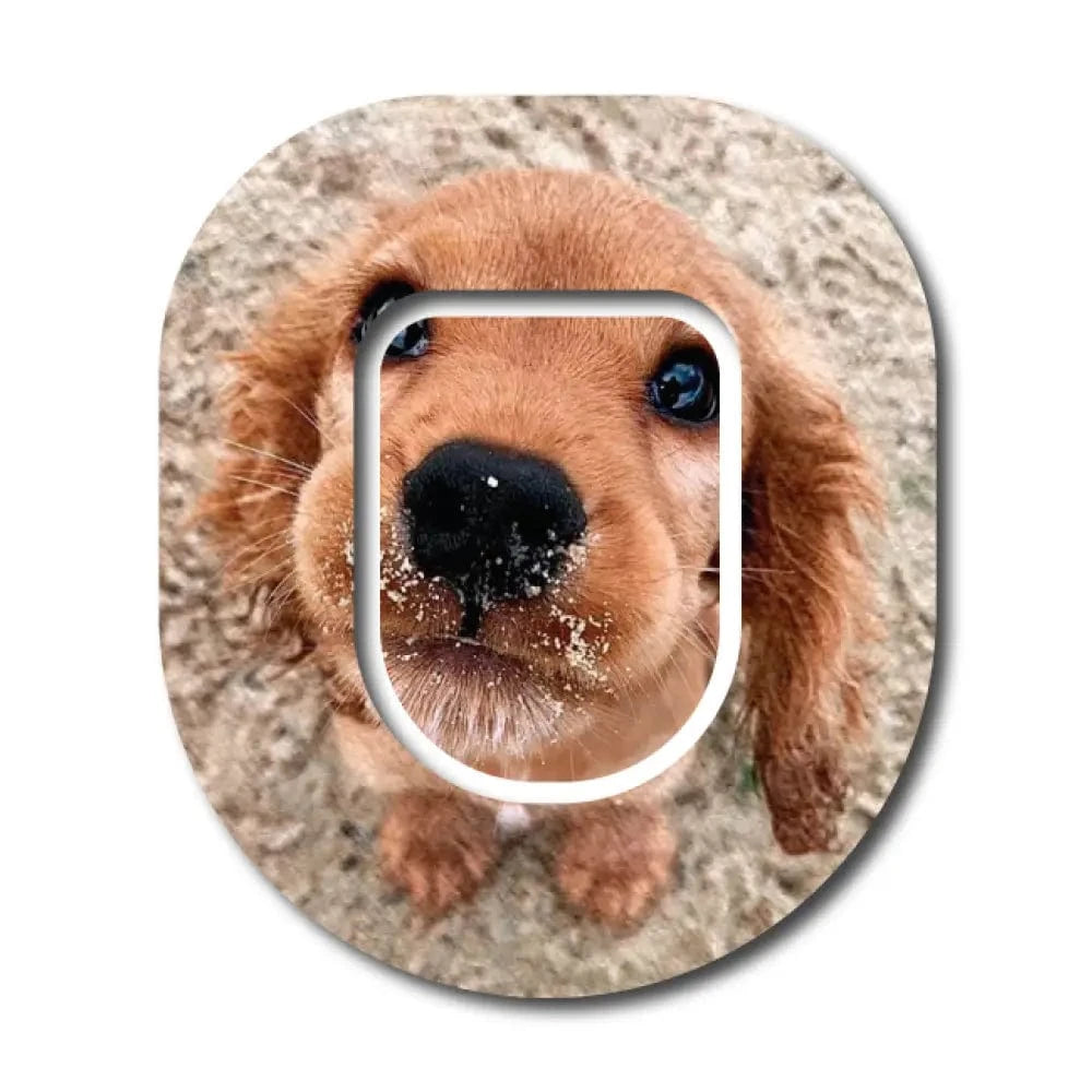 Single Patch / Omnipod Flynn the Puppy with Topper - Omnipod