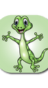 Single Patch / G7 Cover-up Gecko - Dexcom G7 and Stelo Cover-up