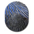 Single Patch / Guardian Guinea Feathers - Guardian