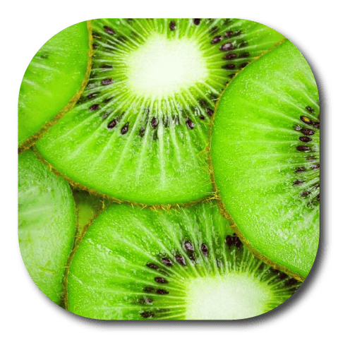 Single Patch / G7 Cover-up Kiwi - Dexcom G7 and Stelo Cover-up