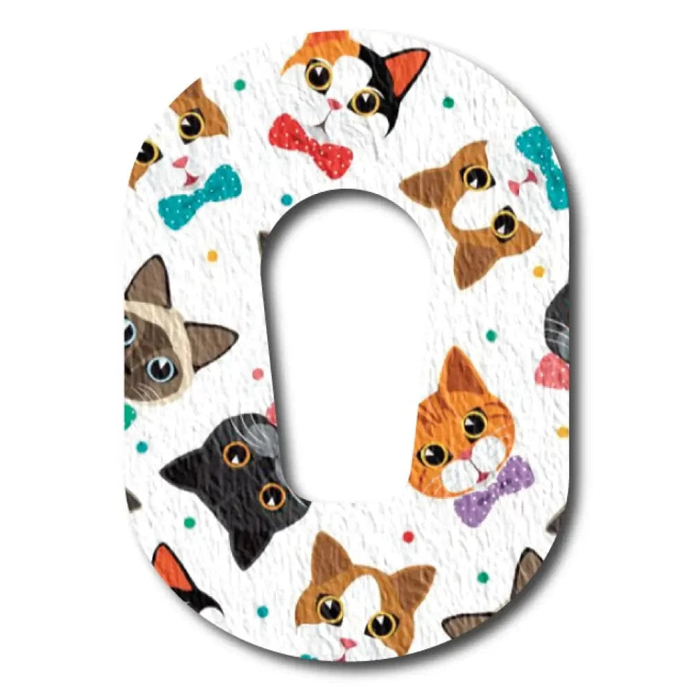 Single Patch / G6 Meow - Dexcom G6