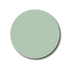 Single Patch / Medtronic Instinct Pale Mint - Medtronic Instinct