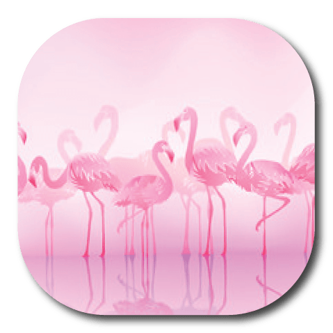 Single Patch / G7 Coverup Pink Flamingo - Dexcom G7 and Stelo Cover-up