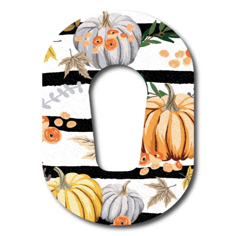 Single Patch / G6 Pumpkin Patch - Dexcom G6