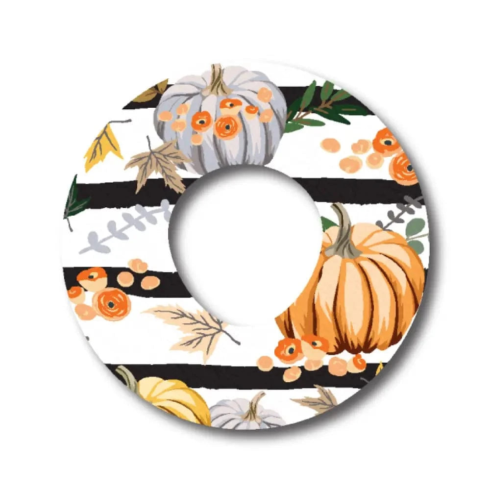 Single Patch / Infusion Set Pumpkin Patch - Infusion Set