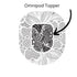 Single Topper / Omnipod Topper Pumpkin Patch - Omnipod  Topper