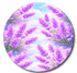 Single Patch / Libre 2 Cover-up Purple Lavender - Libre 2 and Lingo Cover-up