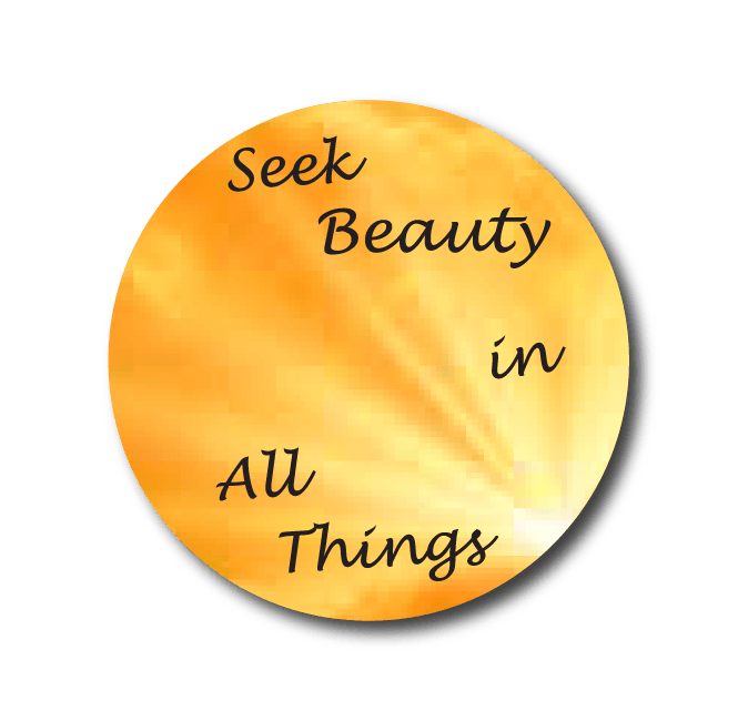 Single Patch / Medtronic Instinct Seek Beauty in All Things - Medtronic Instinct