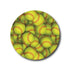 Single Patch / Medtronic-Instanct Softball Collection - Medtronic-Instanct
