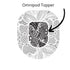 Single Topper / Omnipod Topper Sunflower - Omnipod Topper