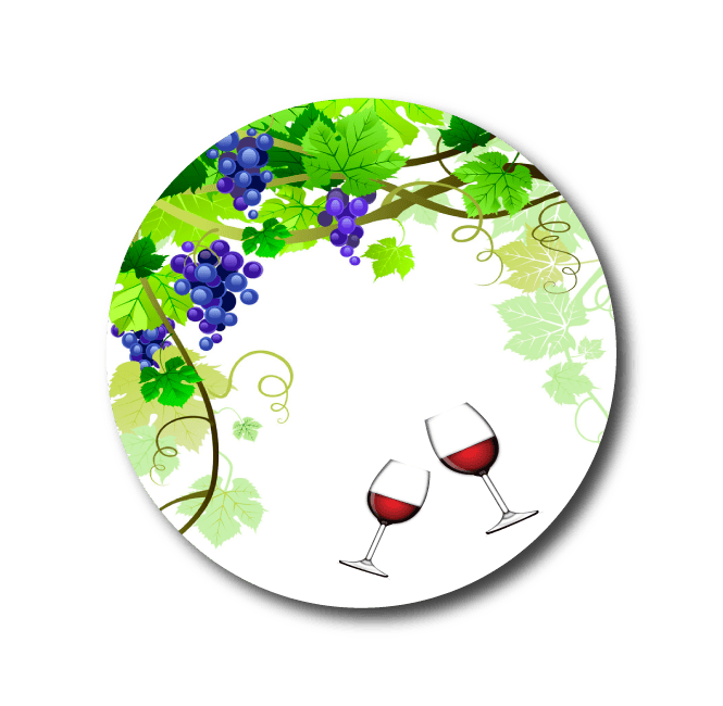 Single Patch / Medtronic Instinct The Vineyard - Medtronic Instinct
