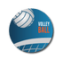 Single Patch / Medtronic Instinct Volleyball and Net - Medtronic Instinct
