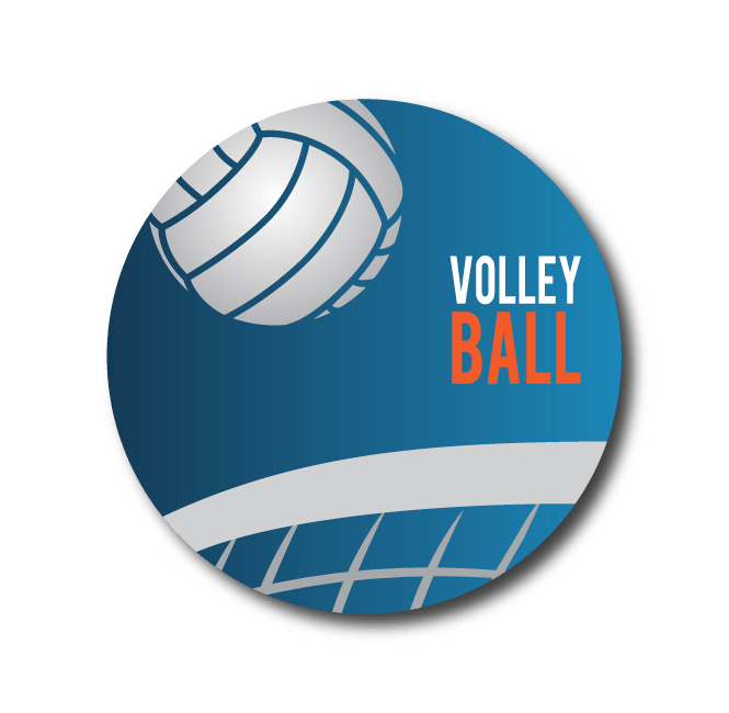 Single Patch / Medtronic Instinct Volleyball and Net - Medtronic Instinct